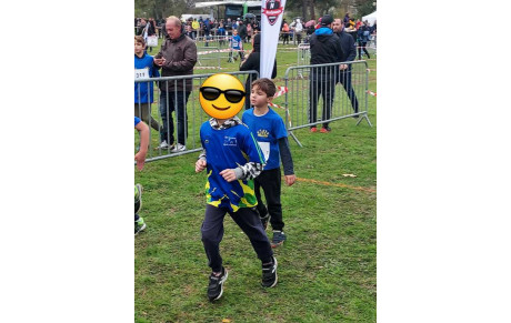 CROSS AMBOISE